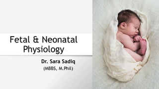 Fetal & Neonatal
Physiology
Dr. Sara Sadiq
(MBBS, M.Phil)
 