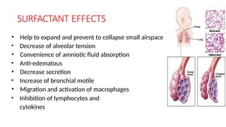 Neonatal Physiology and Prematurity.pptx