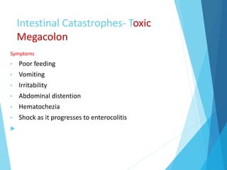 Intestinal Catastrophes- Toxic
Megacolon
Symptoms
• Poor feeding
• Vomiting
• Irritability
• Abdominal distention
• Hematochezia
• Shock as it progresses to enterocolitis

 