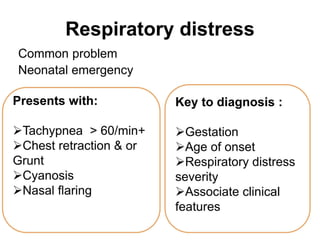 NEONATAL RESPIRATORY DISTRESS SYNDROME .pptx