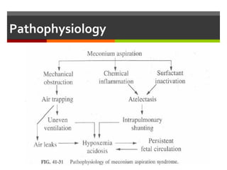 Pathophysiology
 