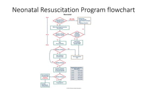 Neonatal Resuscitaion | PPTX
