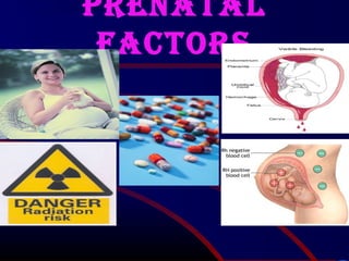 PRENATAL
fACTORS
 