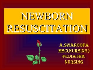NEWBORNNEWBORN
RESUSCITATIONRESUSCITATION
A.SWAROOPA
MSC(NURSING)
PEDIATRIC
NURSING
 