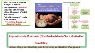 Approximately 60 seconds (“the Golden Minute”) are allotted for
completing
initial steps, revaluating and beginning ventilation if required
• Most neonatal arrests are
asphyxia in nature.
• First ventilation (if needed)
should be administered
within 60 seconds of initial
assessment.
• “Initial Assessment” can be
done on Mom
• Permitting delayed cord
clamping if stable
 