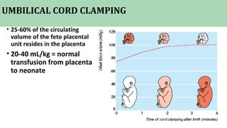 UMBILICAL CORD CLAMPING
• 25‐60% of the circulating
volume of the feto placental
unit resides in the placenta
• 20‐40 mL/kg = normal
transfusion from placenta
to neonate
 