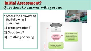 Initial Assessment?Initial Assessment?
Questions to answer with yes/no
•Assess the answers to
the following 3
questions:
1) Term gestation?
2) Good tone?
3) Breathing or crying
 