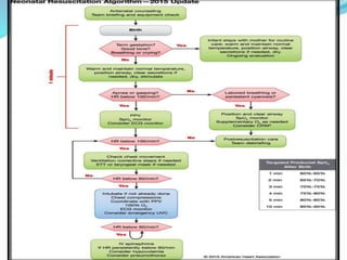 Neonatal Code Algorithm Neonatal resuscitation | PPTX