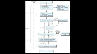 Neonatal resuscitation