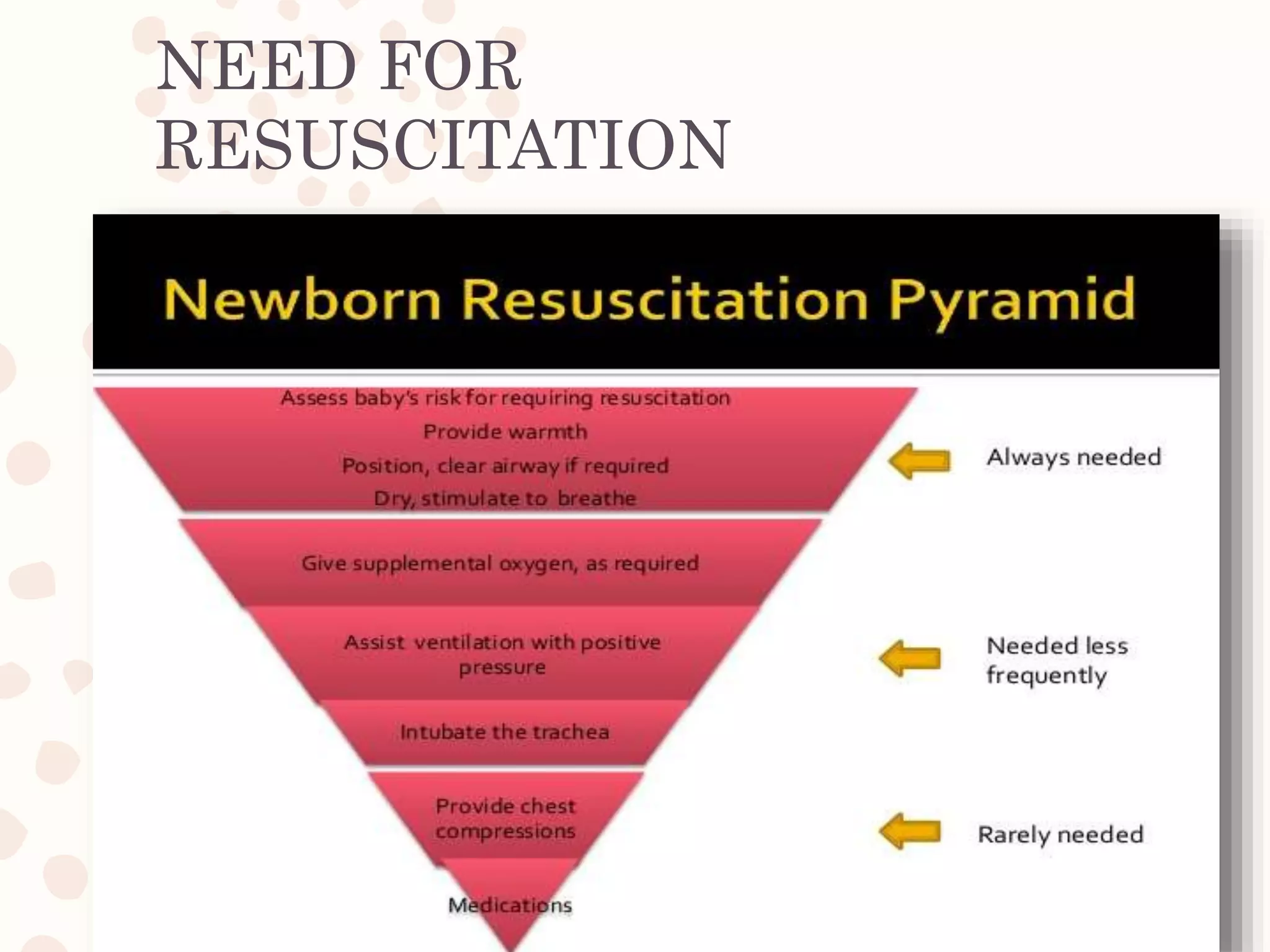 Neonatal resuscitation | PPTX