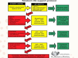 Neonatal resuscitation | PPTX