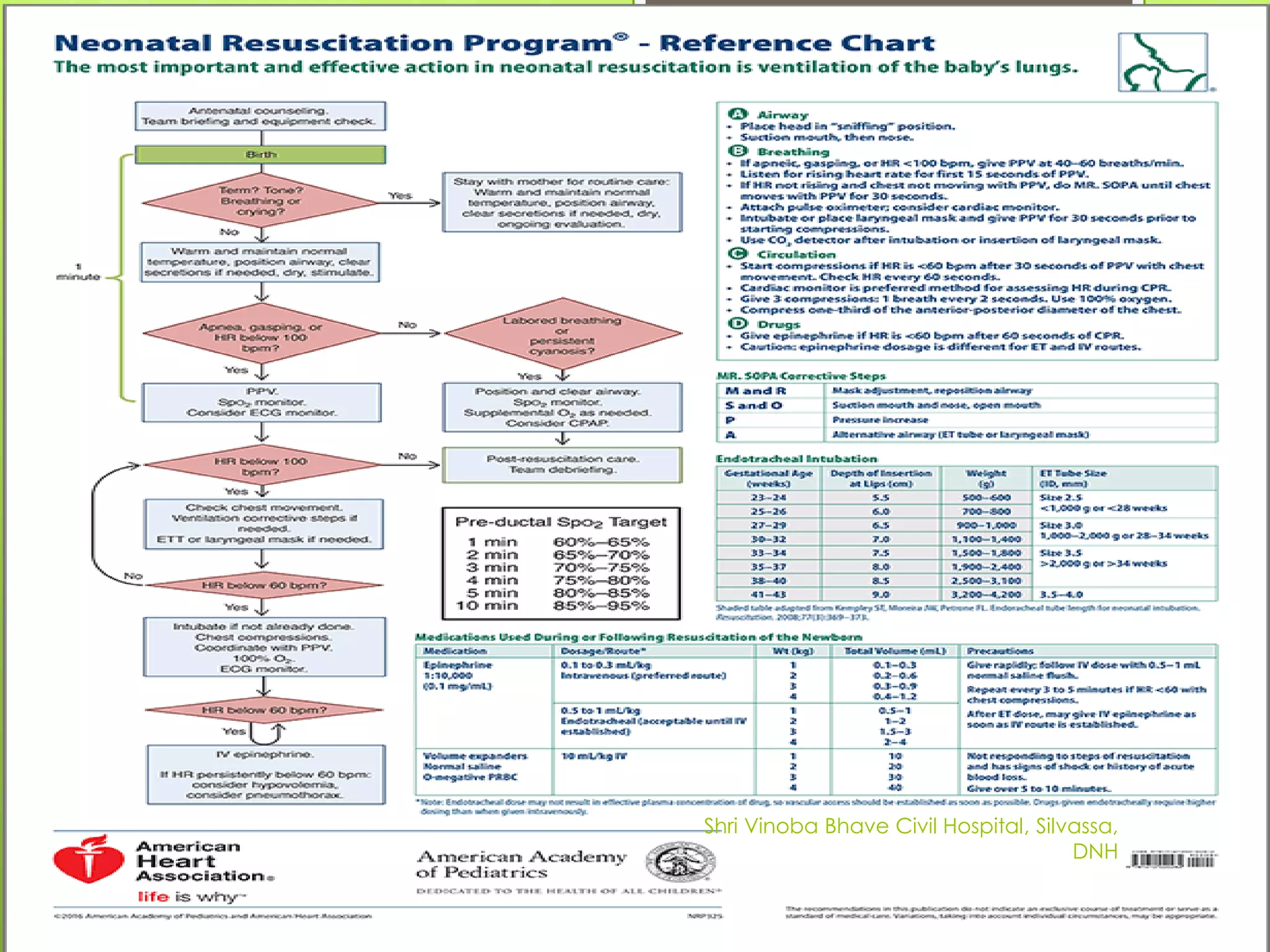 Neonatal resuscitation / Neonatal Resuscitation | PDF