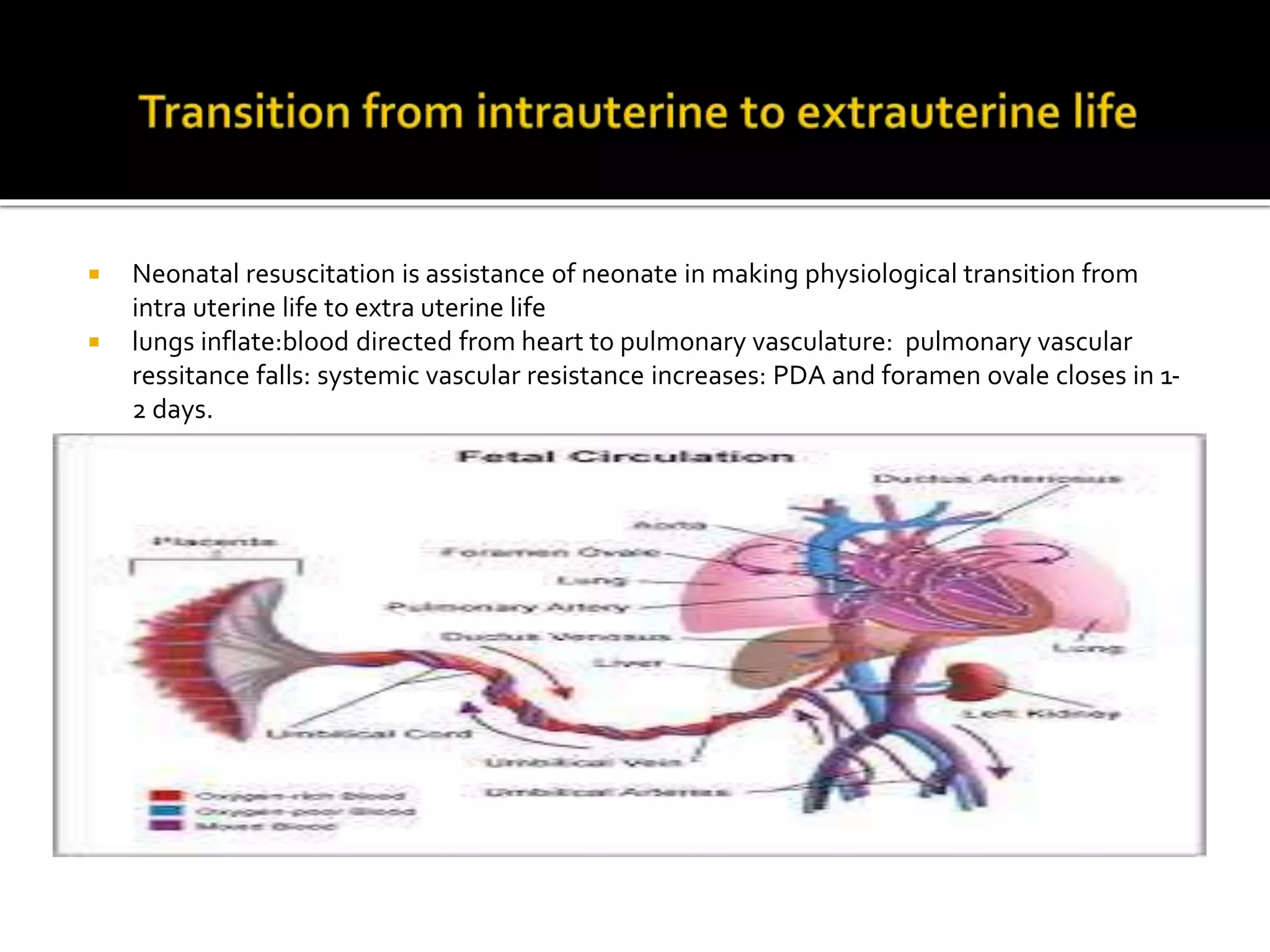 NEONATAL RESUSCITATION.pptx