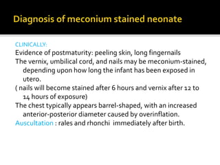 CLINICALLY:
Evidence of postmaturity: peeling skin, long fingernails
The vernix, umbilical cord, and nails may be meconium-stained,
depending upon how long the infant has been exposed in
utero.
( nails will become stained after 6 hours and vernix after 12 to
14 hours of exposure)
The chest typically appears barrel-shaped, with an increased
anterior-posterior diameter caused by overinflation.
Auscultation : rales and rhonchi immediately after birth.
 