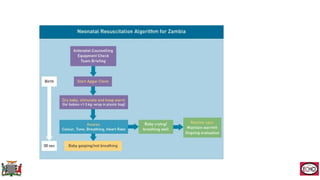 Neonatal Resuscitation describing the practices in Zambia | PPTX