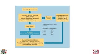 Neonatal Resuscitation describing the practices in Zambia | PPTX