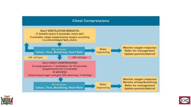 Neonatal Resuscitation describing the practices in Zambia | PPT
