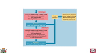 Neonatal Resuscitation describing the practices in Zambia | PPTX