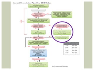 Neonatal Resuscitation in THE SA CONTEXT | PPTX