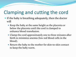 Clamping and cutting the cord
 If the baby is breathing adequately, then the doctor
will
 Keep the baby at the same height as the placenta or
below the placenta until the cord is clamped to
enhance blood transfusion.
 Clamp the cord approximately one to three minutes after
birth to minimize anemia (low red blood cells in the
blood).
 Return the baby to the mother for skin-to-skin contact
to keep the baby warm.
 