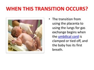 WHEN THIS TRANSITION OCCURS?
• The transition from
using the placenta to
using the lungs for gas
exchange begins when
the umbilical cord is
clamped or tied off, and
the baby has its first
breath.
 