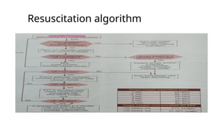 Resuscitation algorithm
 