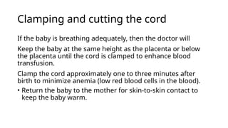 Clamping and cutting the cord
If the baby is breathing adequately, then the doctor will
Keep the baby at the same height as the placenta or below
the placenta until the cord is clamped to enhance blood
transfusion.
Clamp the cord approximately one to three minutes after
birth to minimize anemia (low red blood cells in the blood).
• Return the baby to the mother for skin-to-skin contact to
keep the baby warm.
 