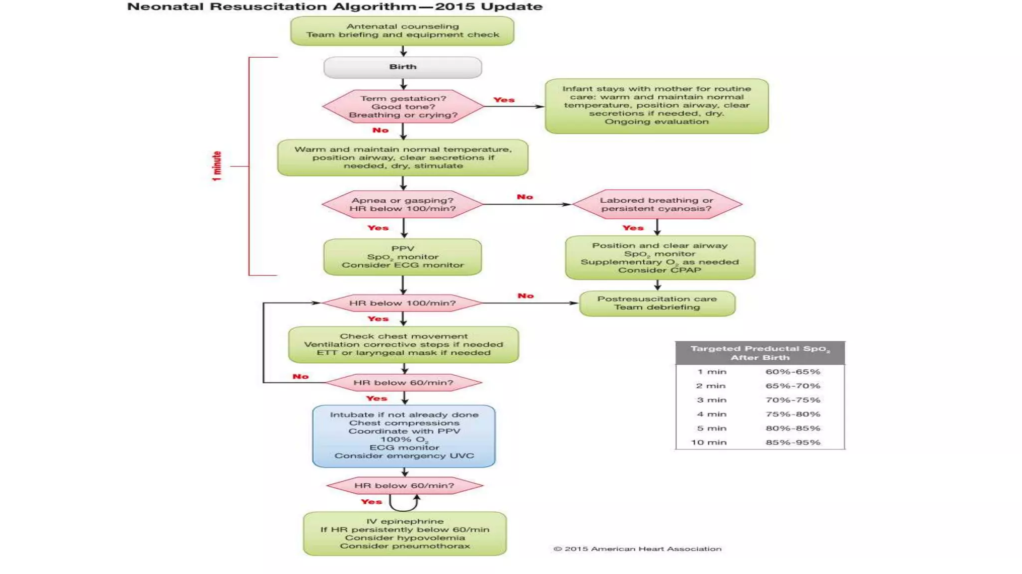 Neonatal resuscitation guidelines 2015 | PPTX