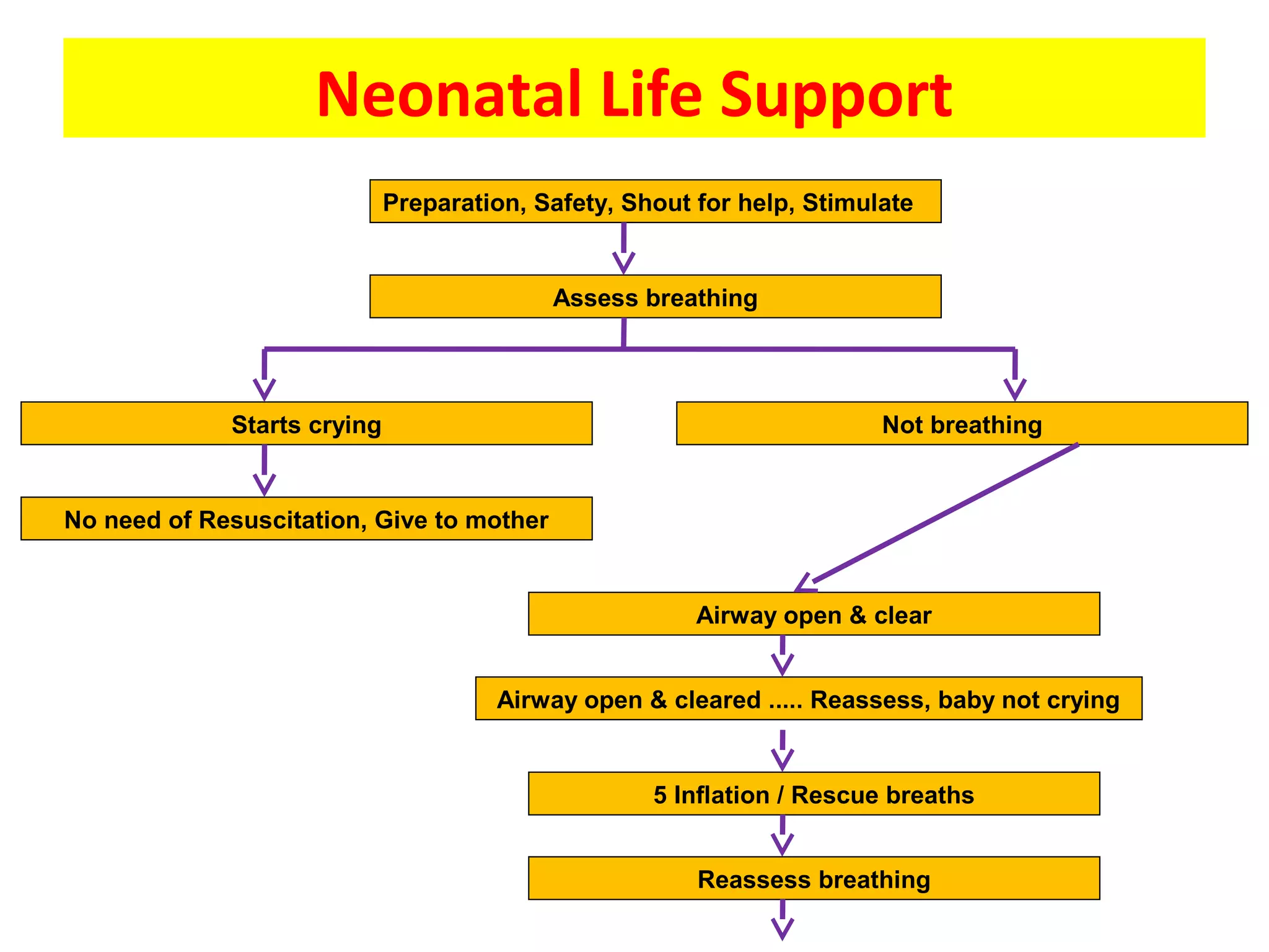 Neonatal resuscitation part 2 by dr.saleem | PPT