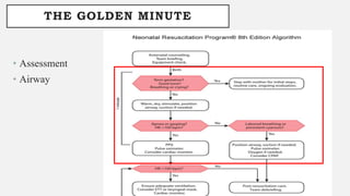 THE GOLDEN MINUTE
• Assessment
• Airway
 