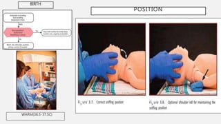 POSITION
WARM(36.5-37.5C)
BIRTH
 