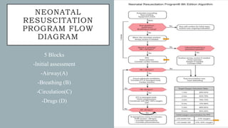NEONATAL
RESUSCITATION
PROGRAM FLOW
DIAGRAM
5 Blocks
-Initial assessment
-Airway(A)
-Breathing (B)
-Circulation(C)
-Drugs (D)
 