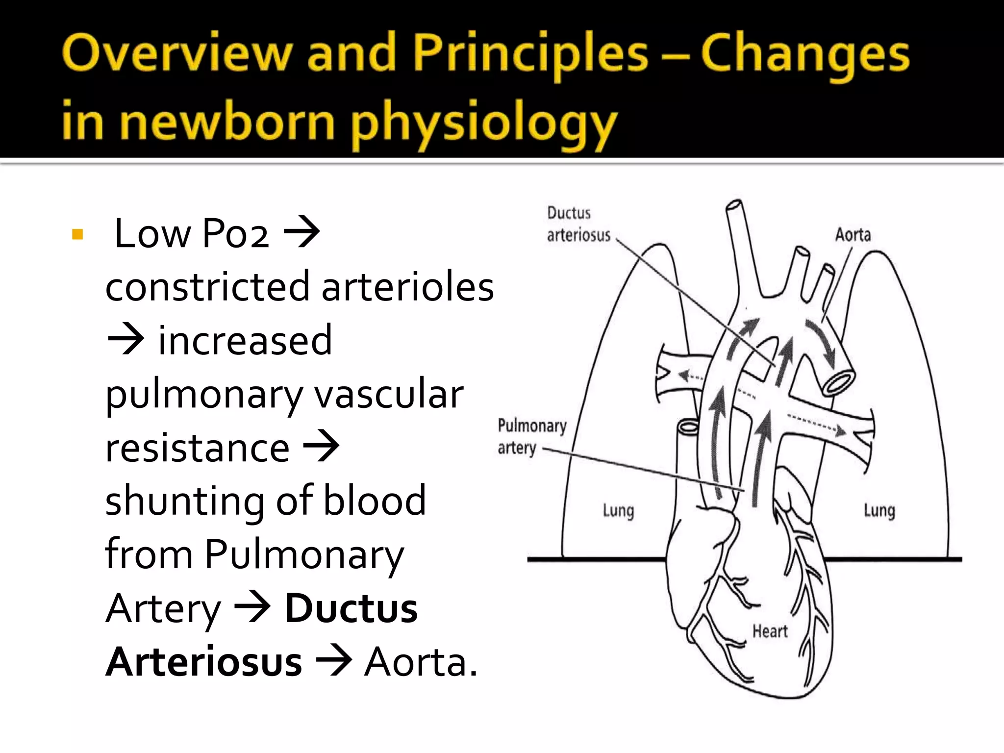  Low Po2 
constricted arterioles
 increased
pulmonary vascular
resistance 
shunting of blood
from Pulmonary
Artery  Ductus
Arteriosus  Aorta.
 