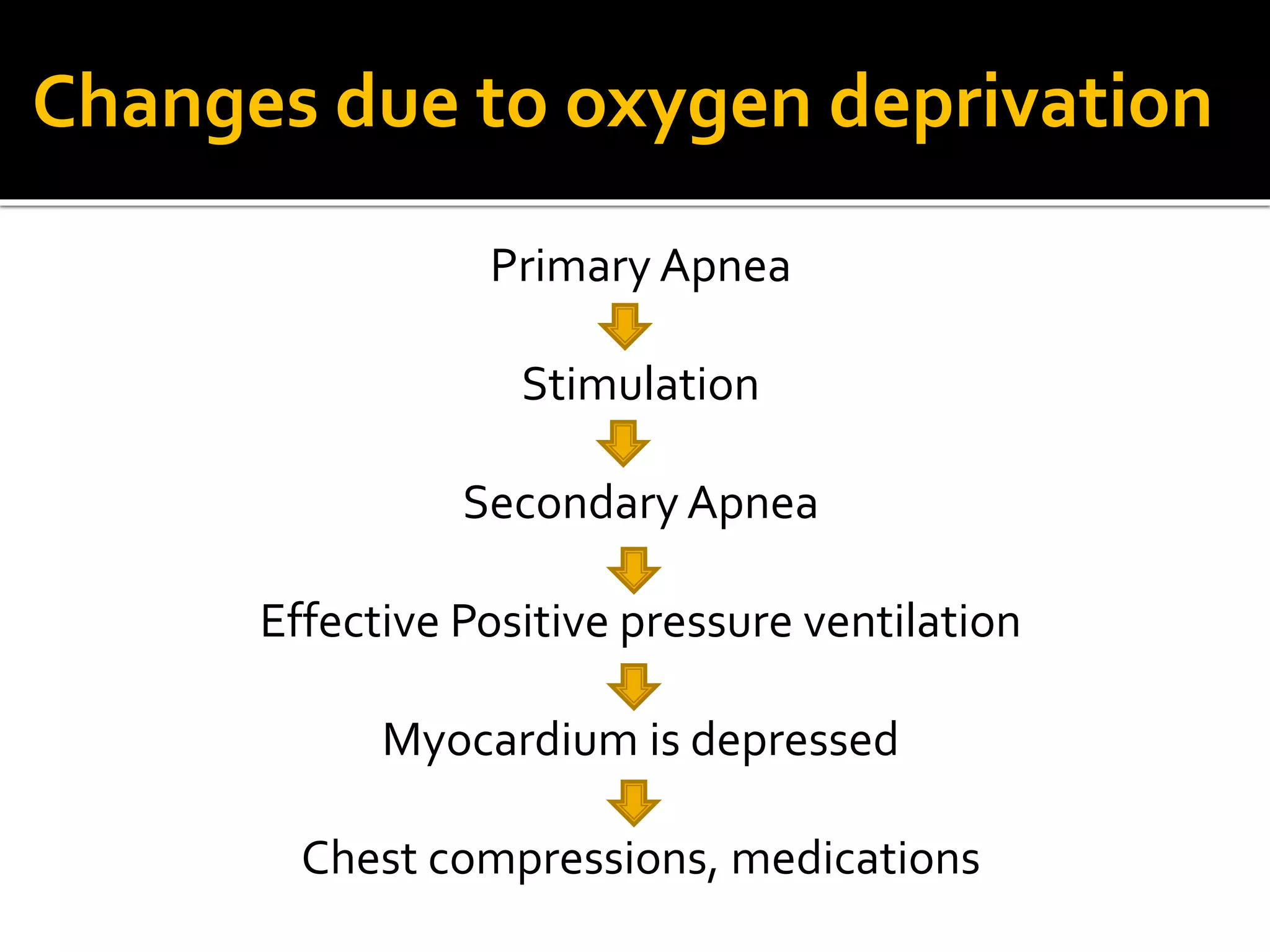 Primary Apnea
Stimulation
Secondary Apnea
Effective Positive pressure ventilation
Myocardium is depressed
Chest compressions, medications
Changes due to oxygen deprivation
 