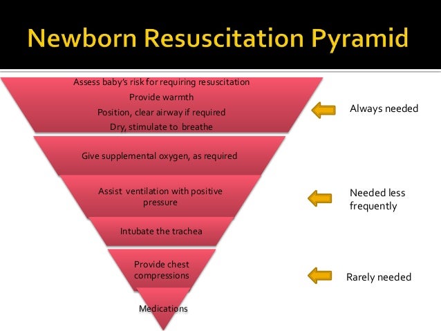 Neonatal Resuscitation Triangle