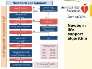 Newborn
life
support
algorithm
 