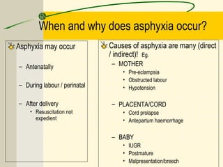 When and why does asphyxia occur?
Asphyxia may occur
– Antenatally
– During labour / perinatal
– After delivery
• Resuscitation not
expedient
Causes of asphyxia are many (direct
/ indirect)! Eg.
– MOTHER
• Pre-eclampsia
• Obstructed labour
• Hypotension
– PLACENTA/CORD
• Cord prolapse
• Antepartum haemorrhage
– BABY
• IUGR
• Postmature
• Malpresentation/breech
 