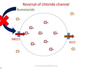 Reversal of chloride channel
.
NKCC1
KCC2
Bumetanide
Dr Chandan Barnwal MD (Pediatrics)
 