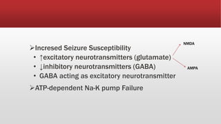 Incresed Seizure Susceptibility
• ↑excitatory neurotransmitters (glutamate)
• ↓inhibitory neurotransmitters (GABA)
• GABA acting as excitatory neurotransmitter
ATP-dependent Na-K pump Failure
NMDA
AMPA
 
