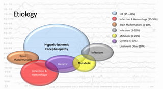 Etiology
Hypoxic-Ischemic
Encephalopathy
Brain
Malformations
Infarction &
Hemorrhage
Genetic Metabolic
Infections
HIE (35 - 45%)
Infarction & Hemorrhage (20-30%)
Brain Malformations (5-10%)
Infections (5-20%)
Metabolic (7-20%)
Genetic (6-10%)
Unknown/ Other (10%)
 