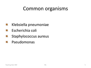 Teaching Aids: NNF NS- 5
Common organisms
Klebsiella pneumoniae
Escherichia coli
Staphylococcus aureus
Pseudomonas
 