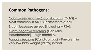 Comprehensive Overview of Neonatal Sepsis: Causes, Diagnosis, and ...