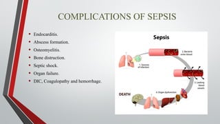 Net Formation Sepsis Neonatal Sepsis By Dr. Mahnoor Arif.pptx