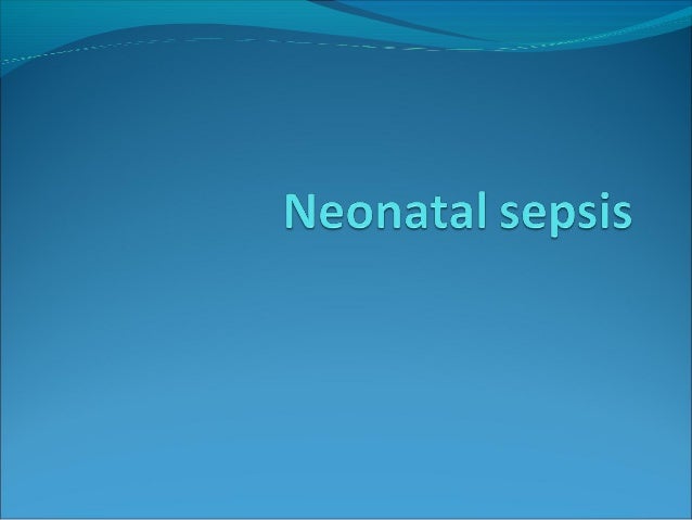 easy essay my parents national animal