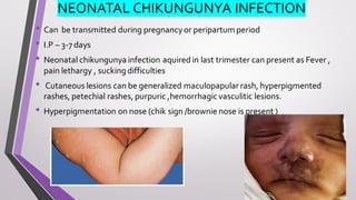 NEONATAL CHIKUNGUNYA INFECTION
• Can be transmitted during pregnancyor peripartum period
• I.P – 3-7 days
• Neonatal chikungunya infection aquired in last trimester can present as Fever ,
pain lethargy , sucking difficulties
• Cutaneous lesions can be generalized maculopapular rash, hyperpigmented
rashes, petechial rashes, purpuric ,hemorrhagic vasculitic lesions.
• Hyperpigmentation on nose (chik sign /brownie nose is present )
 
