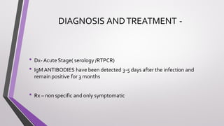 DIAGNOSIS ANDTREATMENT -
• Dx- Acute Stage( serology /RTPCR)
• IgMANTIBODIES have been detected 3-5 days after the infection and
remain positive for 3 months
• Rx – non specific and only symptomatic
 
