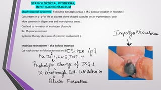 STAPHYLOCOCCAL PYODERMA,
IMPETIGO NEONATORUM
Staphylococcal pyoderma –Folliculitis d/t Staph aureus ( M.C pustular eruption in neonates )
Can present in 2- 3rd of life as discrete dome shaped pustules on an erythematous base
More common in diaper area and intertriginous areas .
Can lead to formation of an abscess /furuncle
Rx- Mupirocin ointment
Systemic therapy (Ix in case of systemic involvement )
Impetigo neonatorum – aka Bullous impetigo
D/t staph aureus exfoliative toxin A and B
 