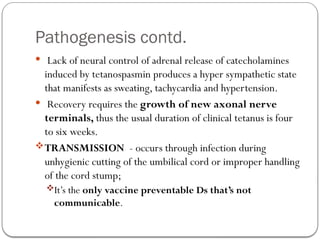 Pathogenesis contd.
 Lack of neural control of adrenal release of catecholamines
induced by tetanospasmin produces a hyper sympathetic state
that manifests as sweating, tachycardia and hypertension.
 Recovery requires the growth of new axonal nerve
terminals, thus the usual duration of clinical tetanus is four
to six weeks.
TRANSMISSION - occurs through infection during
unhygienic cutting of the umbilical cord or improper handling
of the cord stump;
It’s the only vaccine preventable Ds that’s not
communicable.
 