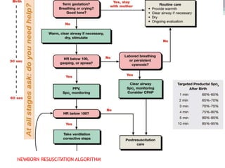 NEWBORN RESUSCITATION ALGORITHM
 