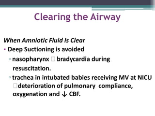 Clearing the Airway
When Amniotic Fluid Is Clear
• Deep Suctioning is avoided
▫ nasopharynx 🢡 bradycardia during
resuscitation.
▫ trachea in intubated babies receiving MV at NICU
🢡deterioration of pulmonary compliance,
oxygenation and ↓ CBF.
 